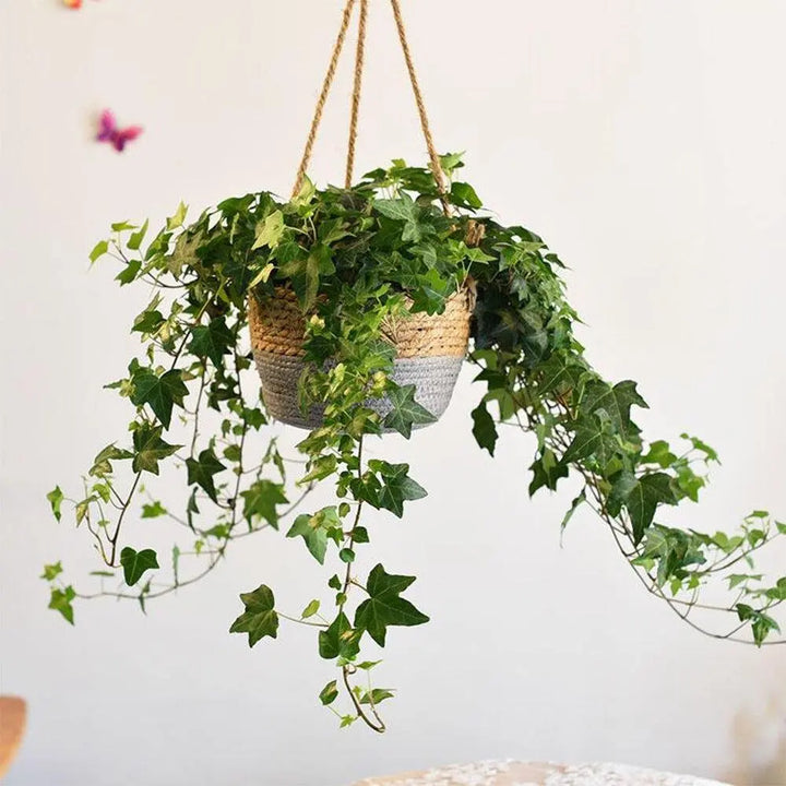 Woven Jute Rope Hanging Planter Basket - Stem & Sill