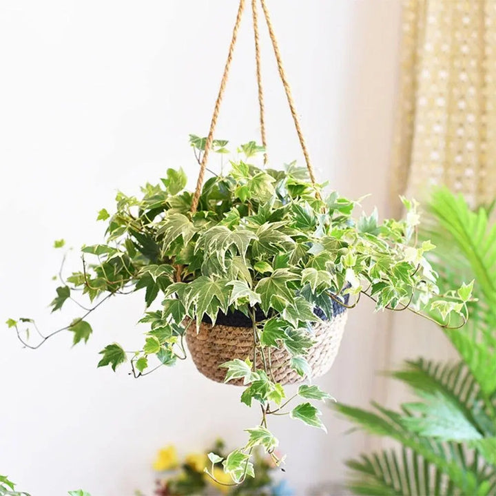 Woven Jute Rope Hanging Planter Basket - Stem & Sill