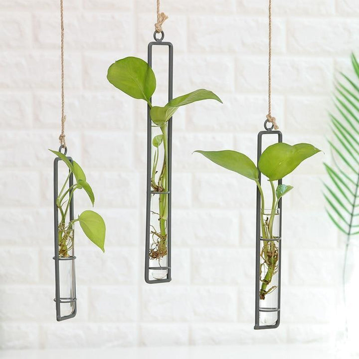  Hanging Metal Propagation Terrarium Vases Small-Medium-Large-Set of 3 - Stem & Sill